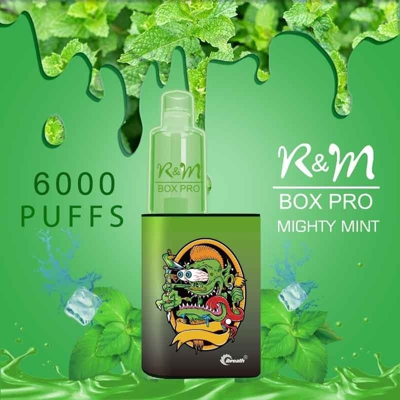 R and M Box Pro Disposable Vape Kit 6000 Puffs 10ml