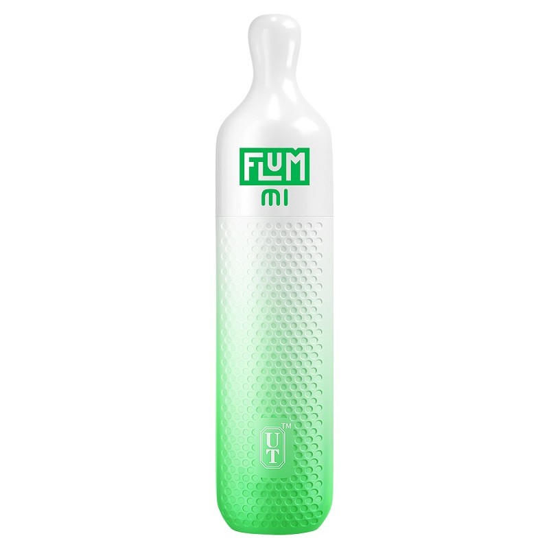 Flum MI Disposable Vape Kit 600 Puffs